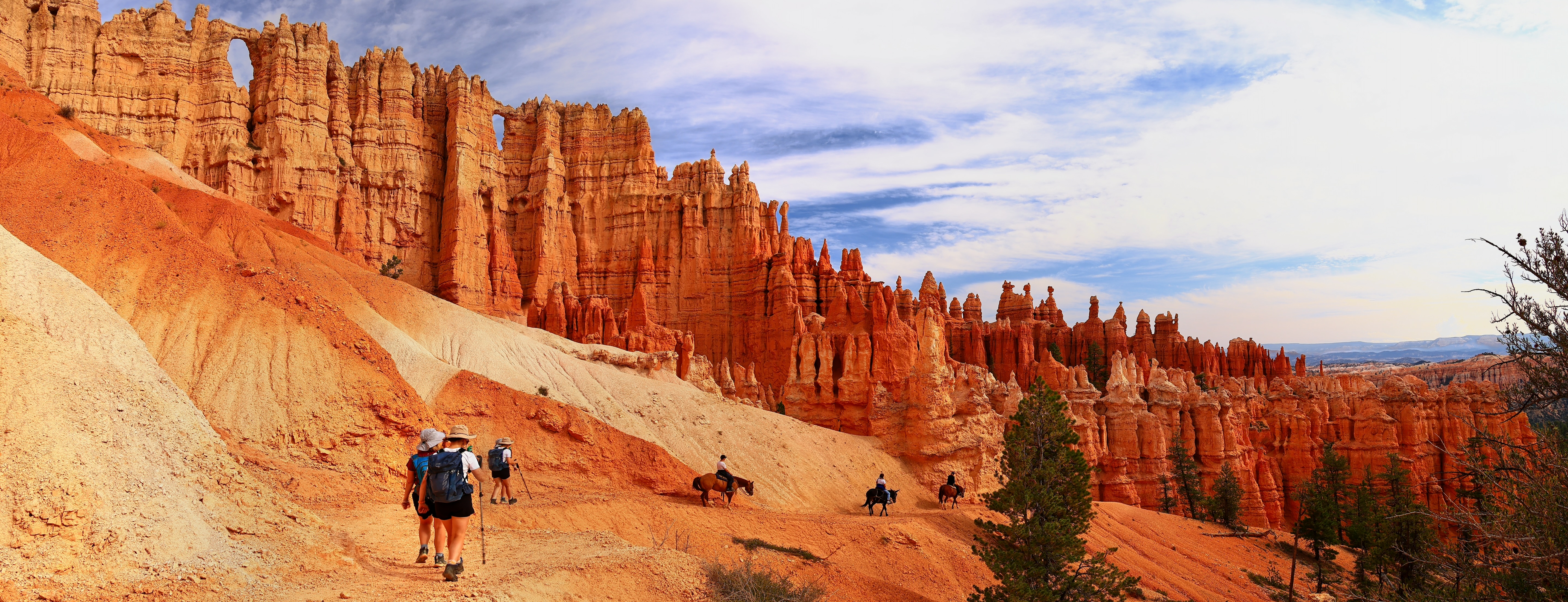 I60A6103 Pano