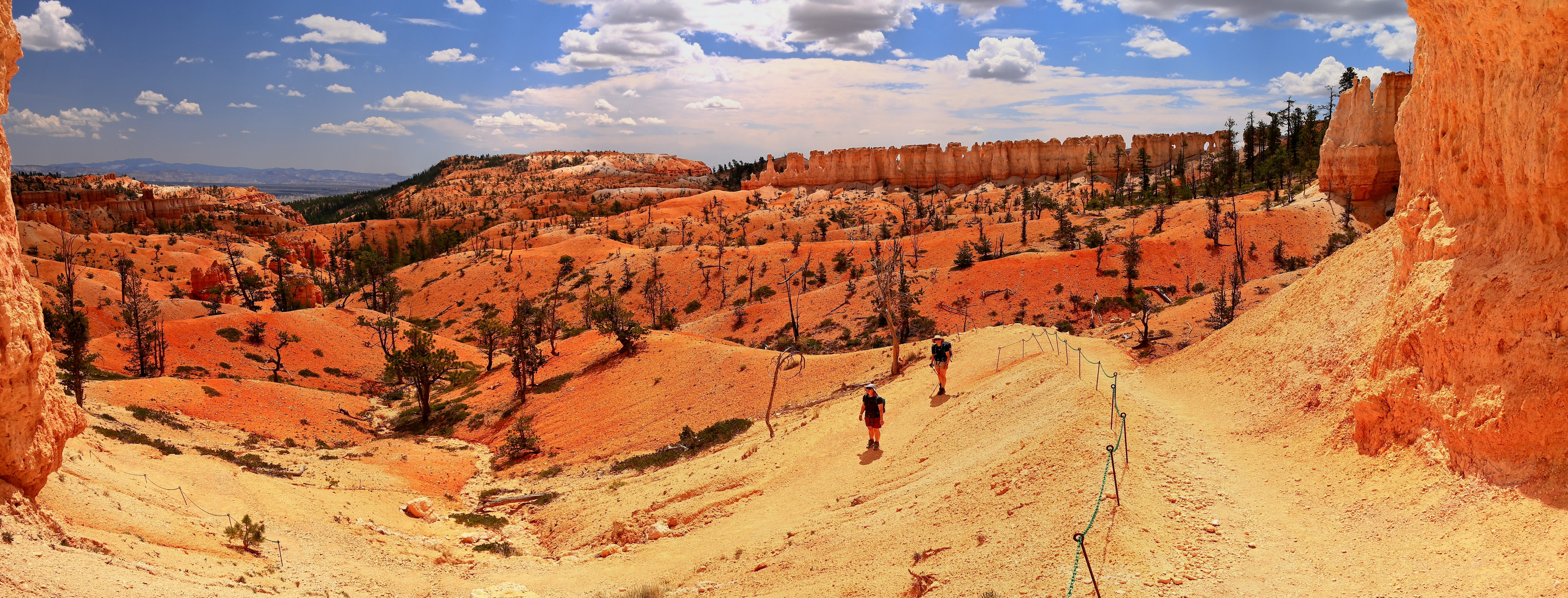 I60A5942 Pano